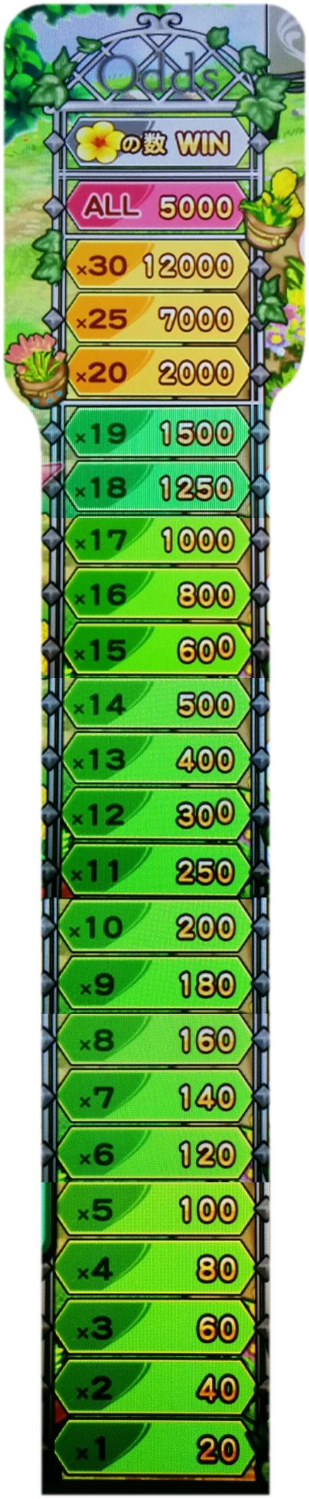 ハッピーフラワーのオッズ一覧(配当表)